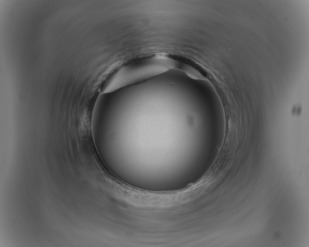 X0000091220048200708161705