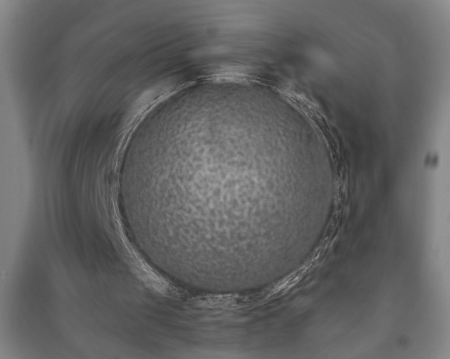 X0000091220049200708161704