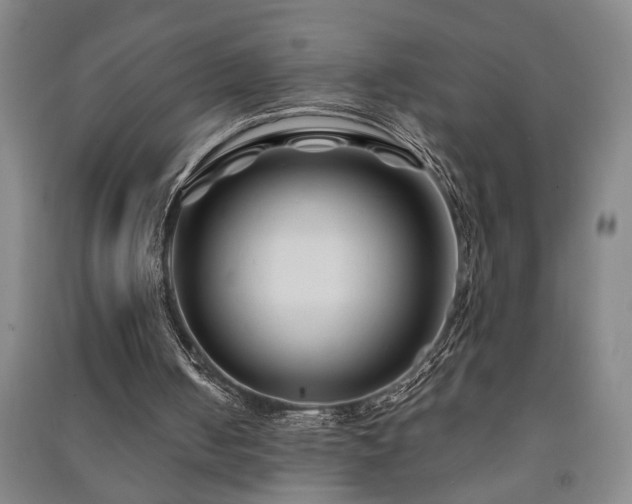 X0000091220050200708161704