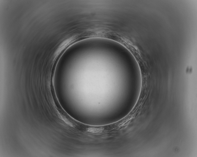 X0000091220051200708161704