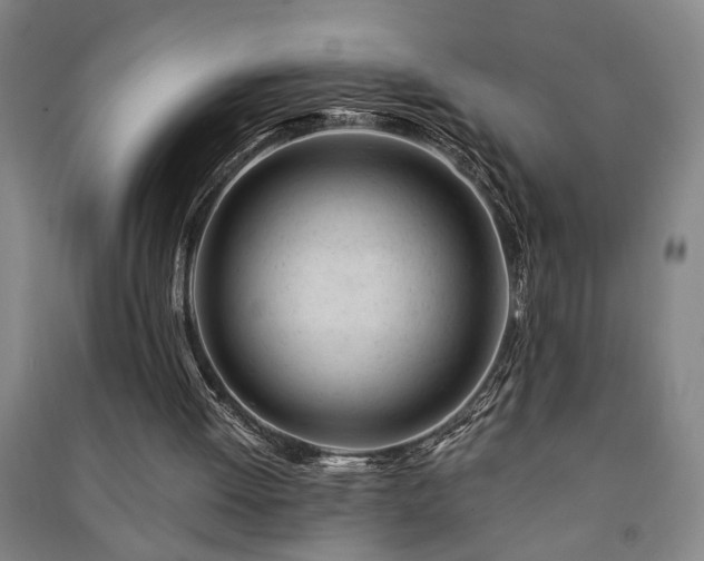 X0000091220052200708161704