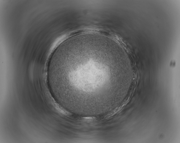 X0000091220053200708161704