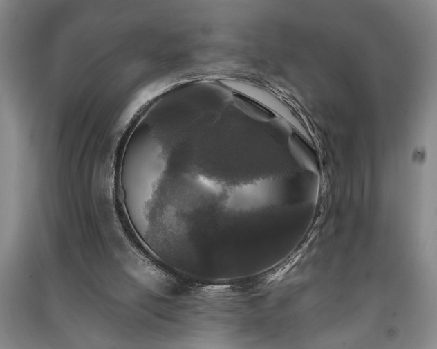 X0000091220054200708161704