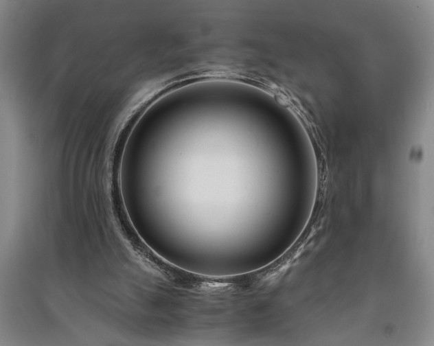 X0000091220055200708161704