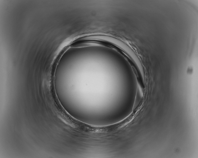 X0000091220056200708161705