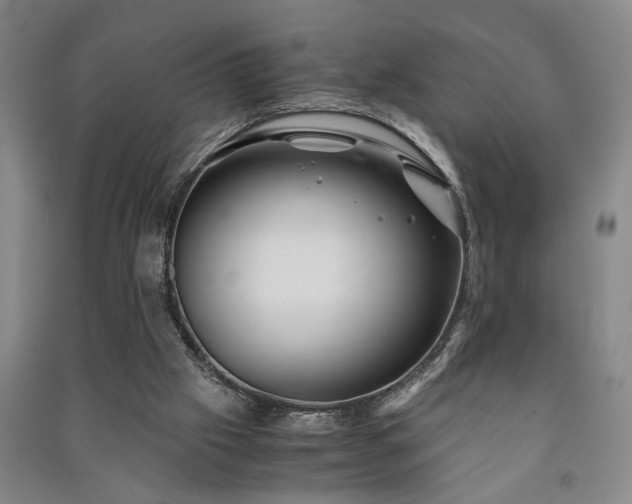 X0000091220057200708161705