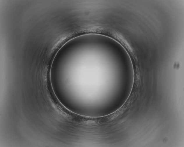 X0000091220058200708161705