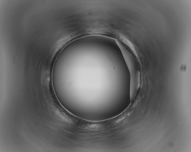 X0000091220059200708161705