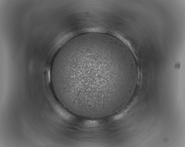 X0000091220061200708161705