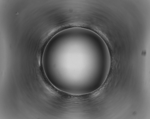 X0000091220062200708161705