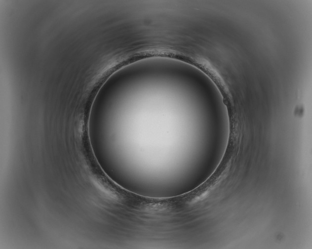 X0000091220063200708161705