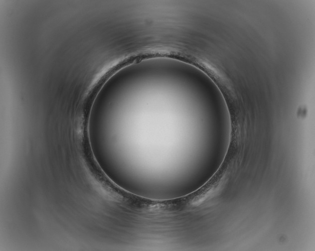 X0000091220064200708161705