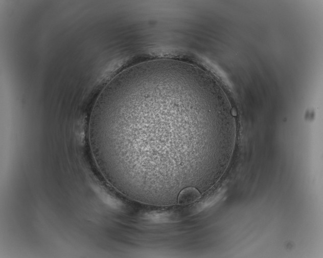 X0000091220065200708161705