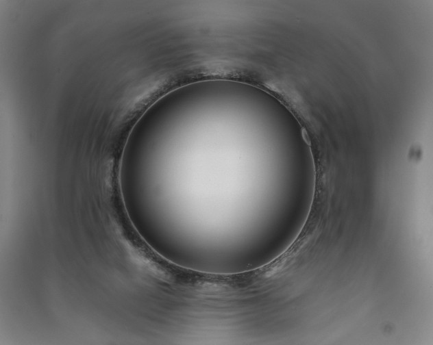 X0000091220066200708161705