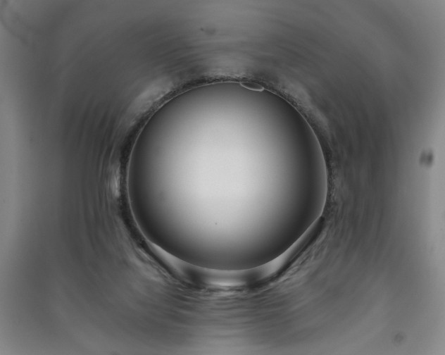 X0000091220068200708161705