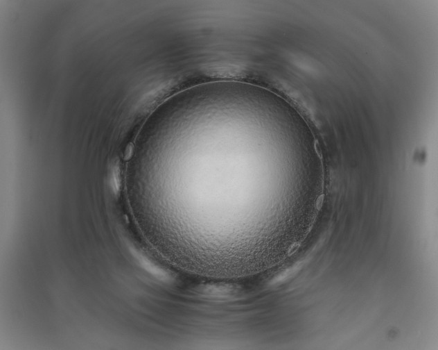 X0000091220069200708161705