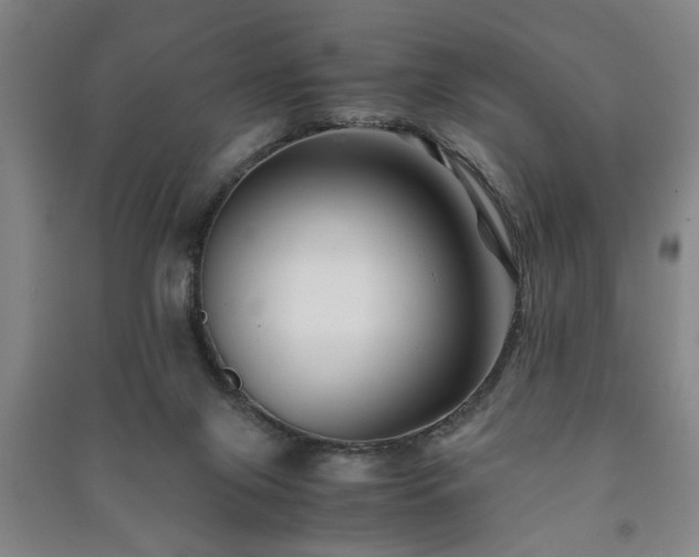 X0000091220071200708161705