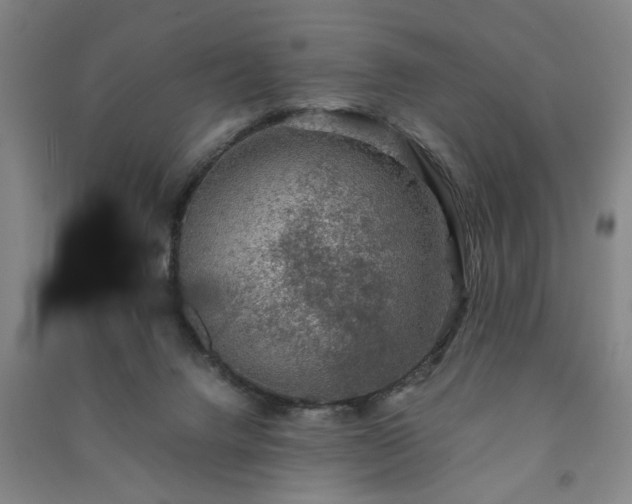 X0000091220072200708161705