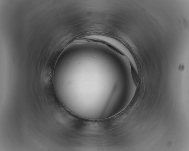 X0000091220073200708161705