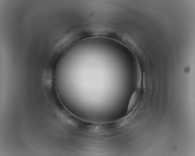 X0000091220074200708161705