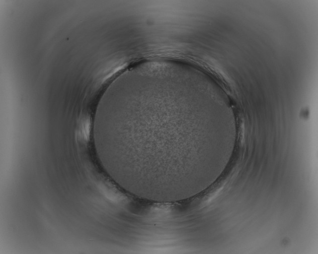 X0000091220076200708161705