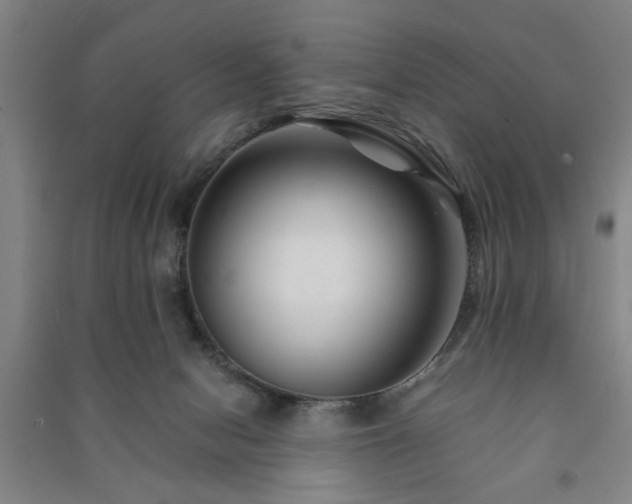 X0000091220078200708161705