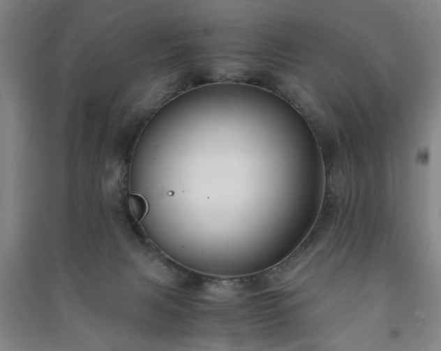 X0000091220079200708161705