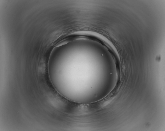 X0000091220080200708161705