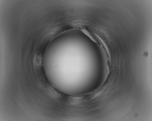 X0000091220081200708161705