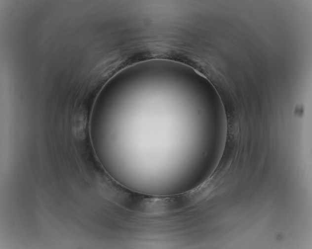 X0000091220082200708161705