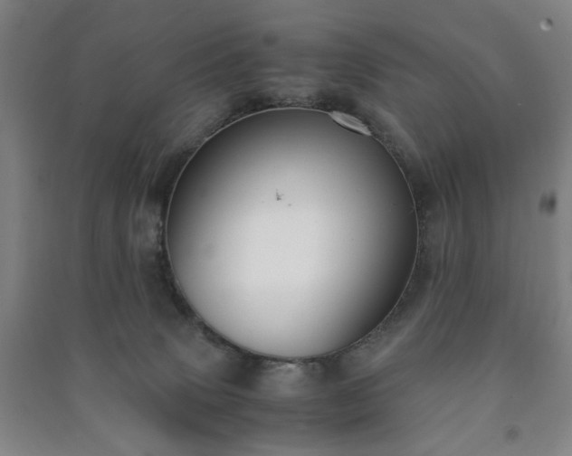 X0000091220083200708161705