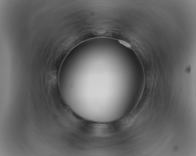 X0000091220085200708161705