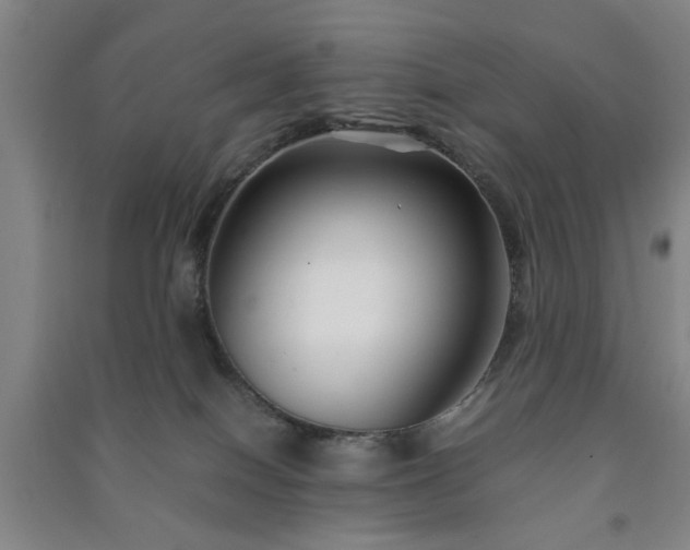 X0000091220086200708161705