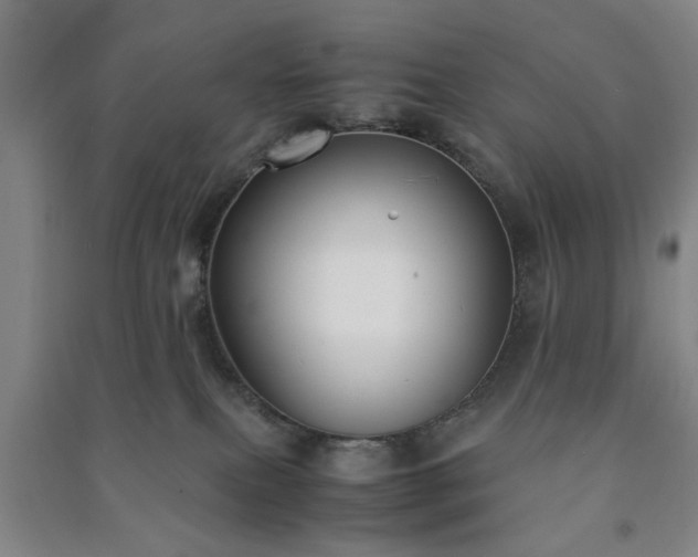 X0000091220087200708161705