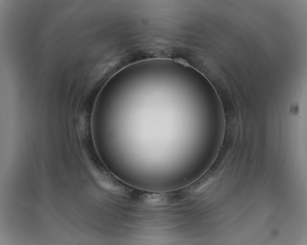 X0000091220088200708161705