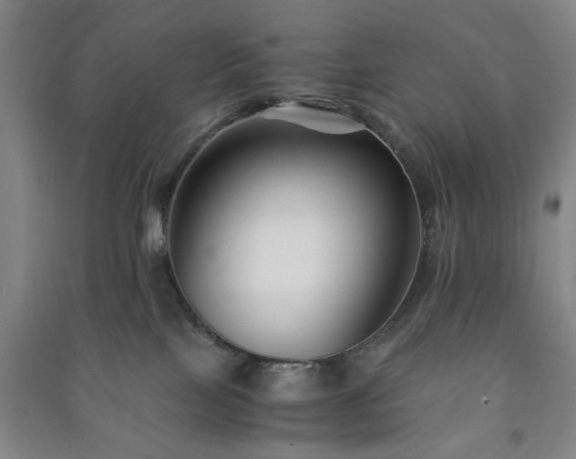 X0000091220089200708161705