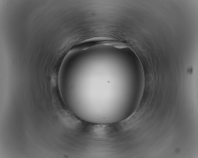 X0000091220090200708161705