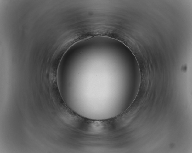 X0000091220091200708161705