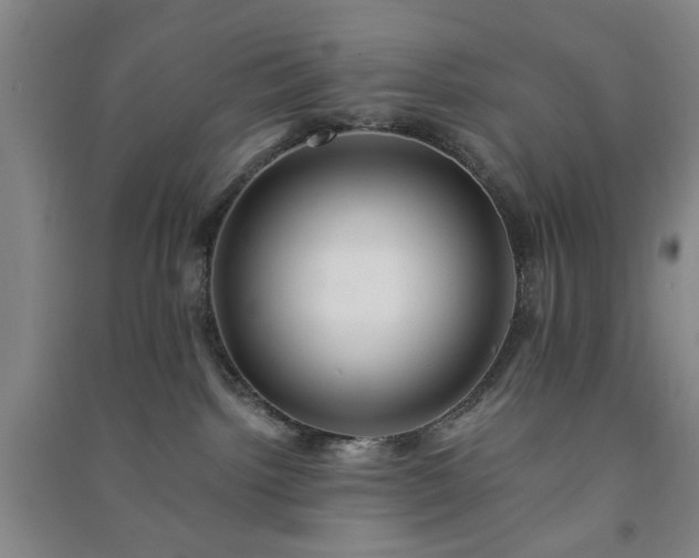 X0000091220092200708161705