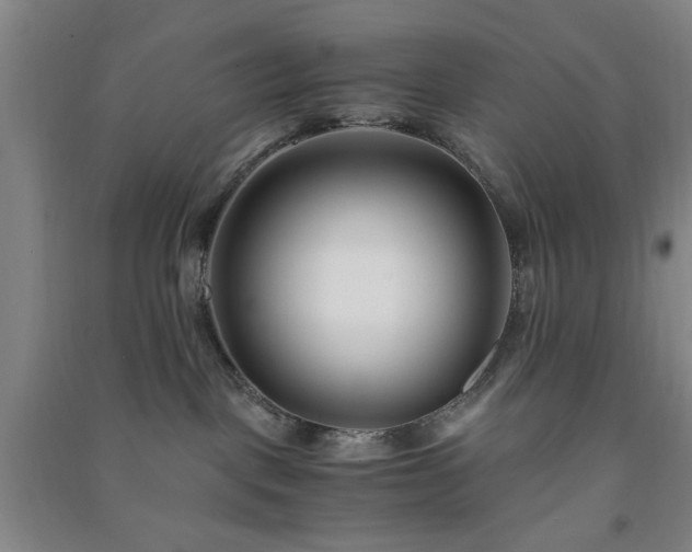 X0000091220093200708161705