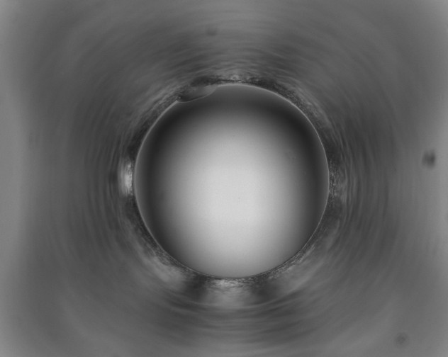 X0000091220095200708161705