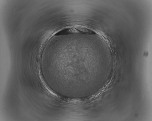 X0000091220097200708161704