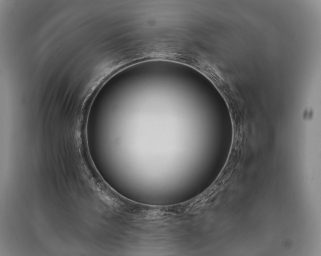 X0000091220098200708161704