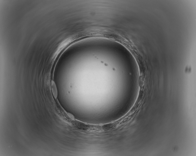 X0000091220099200708161704