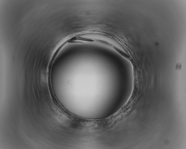 X0000091220100200708161704