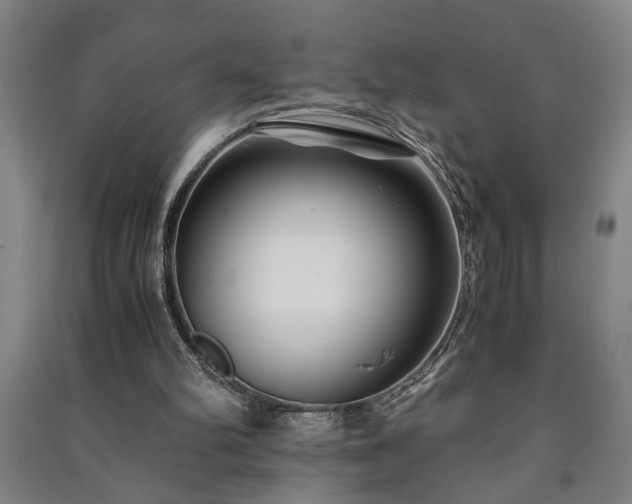 X0000091220102200708161704