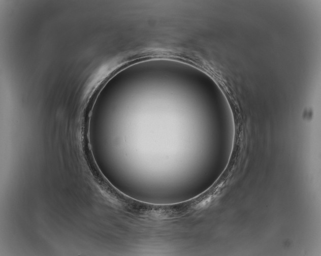 X0000091220103200708161704