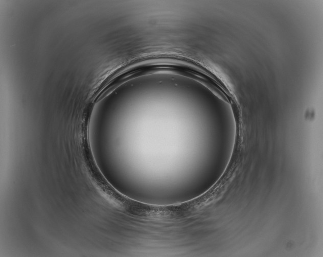 X0000091220105200708161704