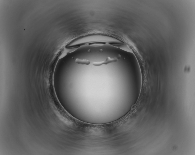 X0000091220106200708161704