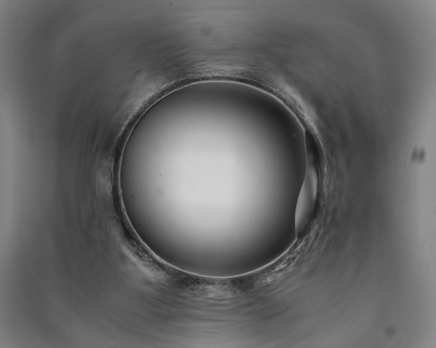 X0000091220107200708161704